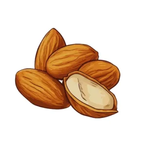 Almond