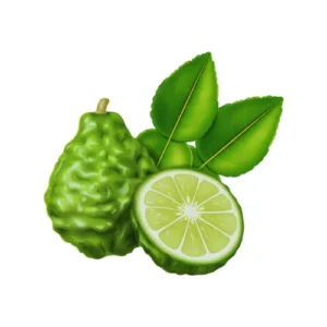 Bergamot