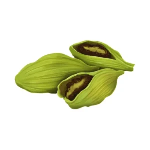 Cardamom