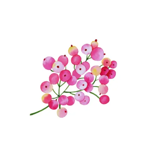 Pink Berries