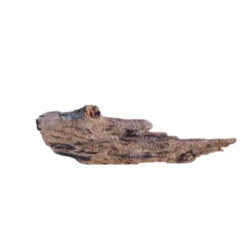Dry Wood