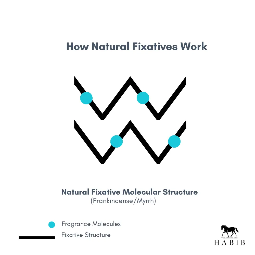 How Natural Fixatives Work in Perfumes