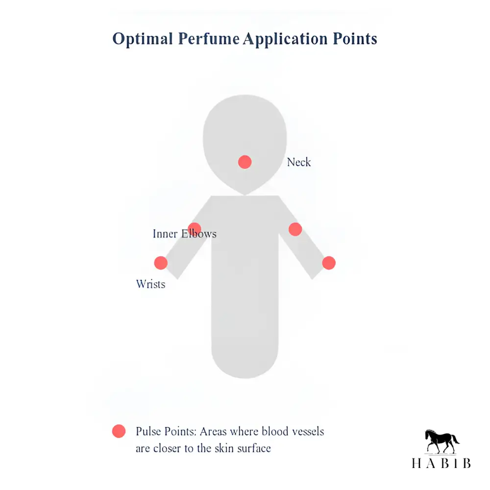 Optimal perfume application points for longevity