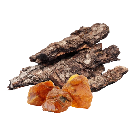 Amberwood
