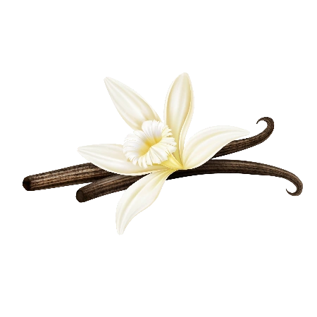 Madagascar Vanilla