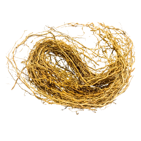 Vetiver